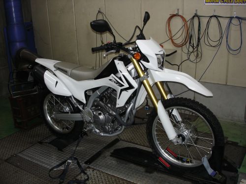 s_crf250Ldyno1.jpg