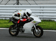 xr100m.gif