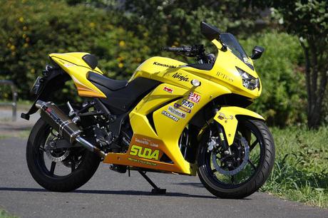 Kawasaki Ninja 250R IPTOS STAGE-2