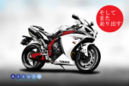 (D) YAMAHA YZF-R1 '09