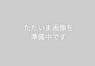 ただいま画像を準備中です